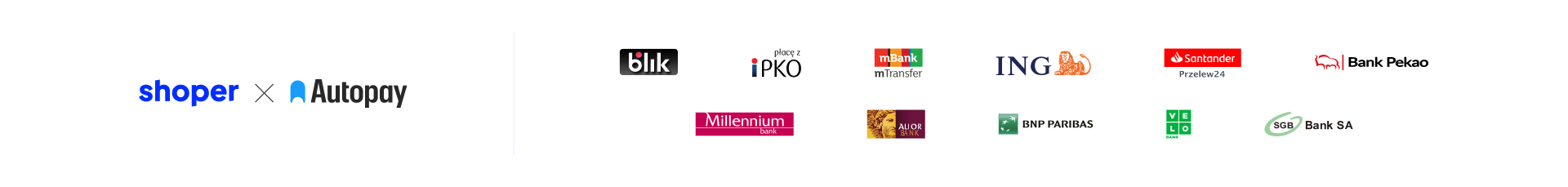 Płatności Shoper
